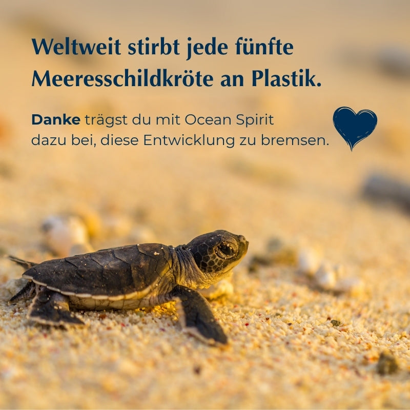 Probierpaket Aktion