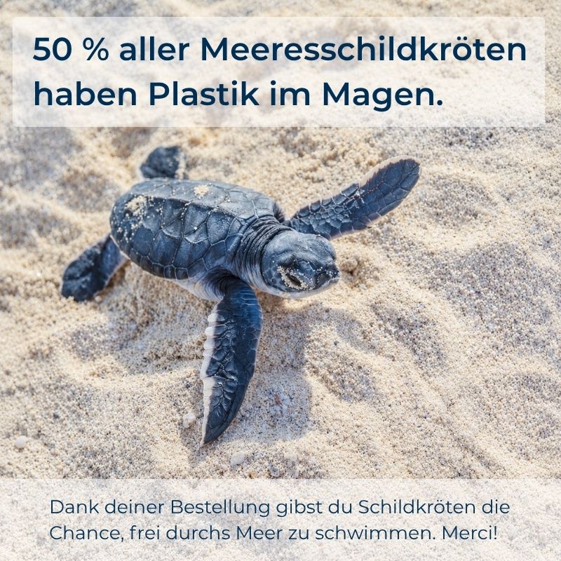 Ocean_Spirit_Schildkroete_Caroussel