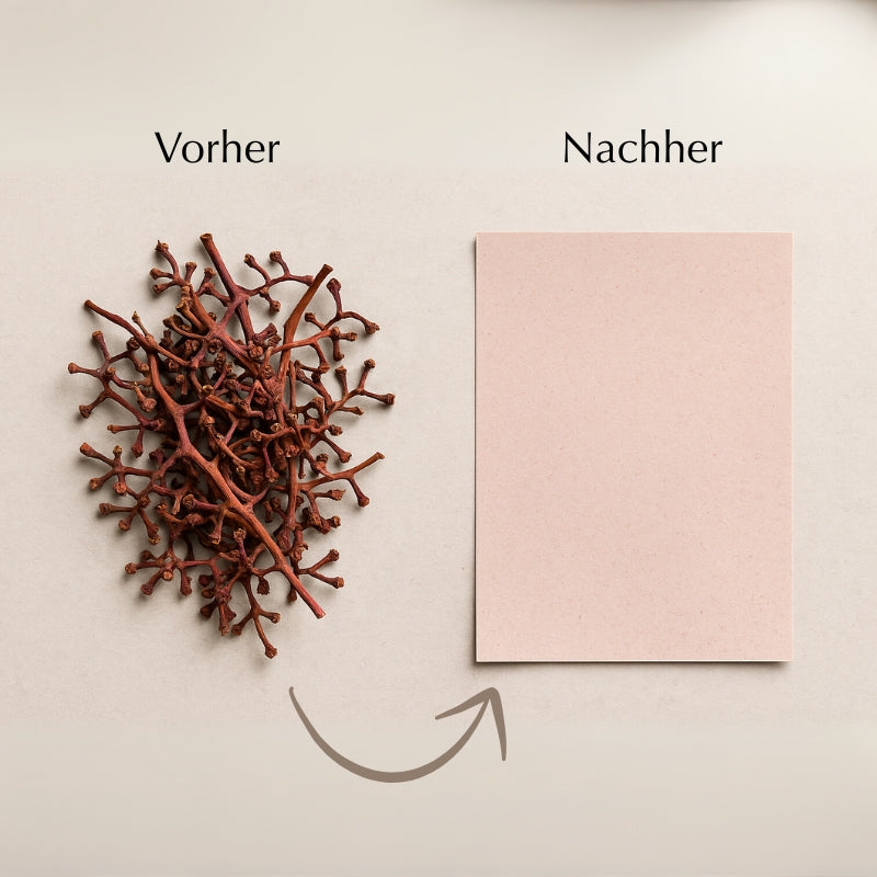 Ocean Spirit Rosé Vorher nachher