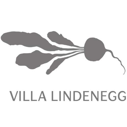 Ocean Spirit Logo Villa Lindenegg