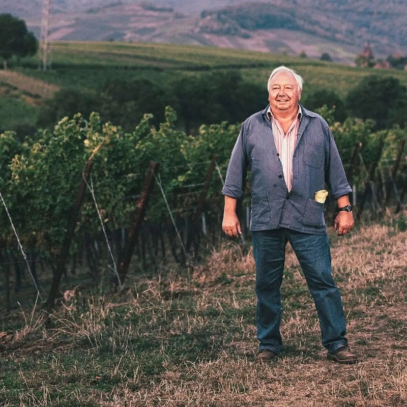 Ocean Spirit Weingut Pfaffmann